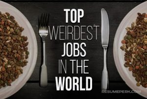 The top 5 strangest jobs in the world: Unbelievable job opportunities_CVPLANET 