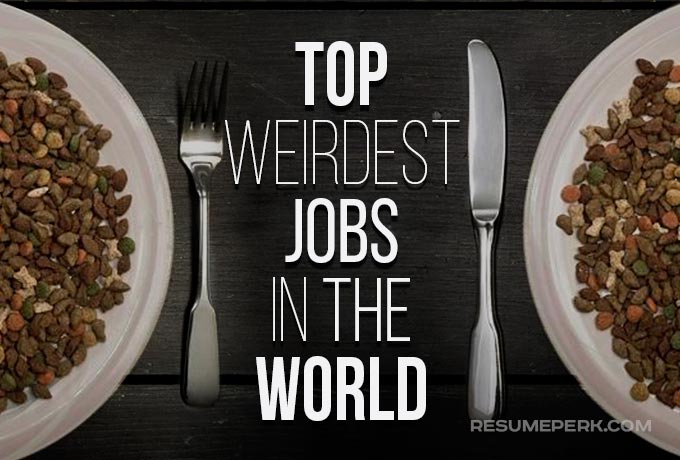 The top 5 strangest jobs in the world: Unbelievable job opportunities_CVPLANET