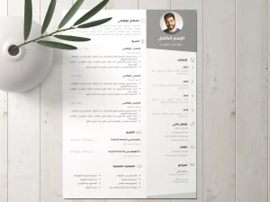 أفضل قوالب السيرة الذاتية للمهنيين والخريجين الجدد_cvplanet