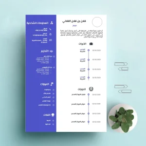 رسالة واحدة تُظهر أنك المرشح الذي لا يُعوّض_cvplanet